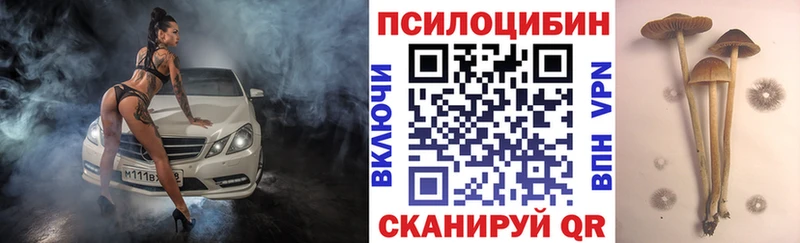Псилоцибиновые грибы мицелий  Нижняя Салда 